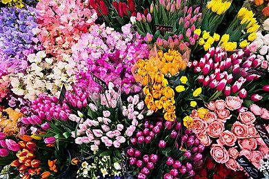 《失落之魂》Steam商店页公开 需关联PSN账户