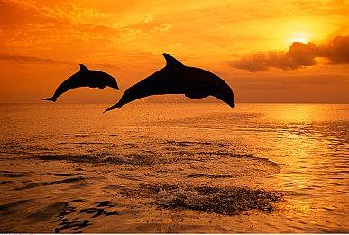 《奇唤士》主机端发售日预告 12月4日上线